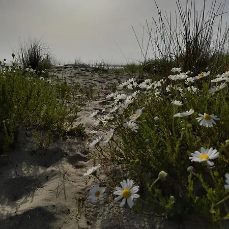 L'escale Mobil'home Giana * Agde