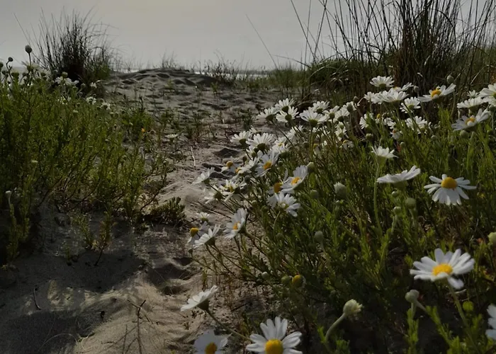 L'escale Mobil'home Giana * آجد